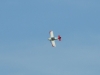Shuttleworth 2014 (59)
